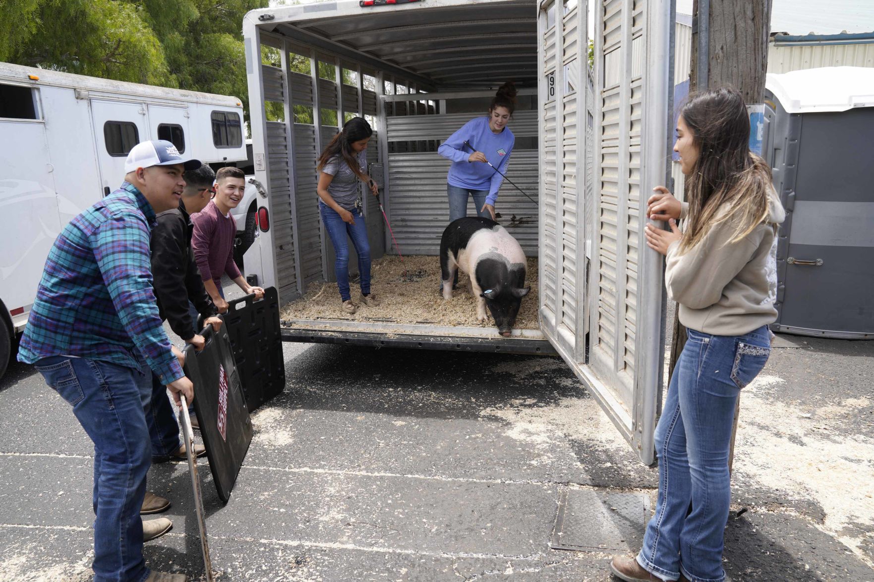070719 Animals Arrive for Fair 15.jpg
